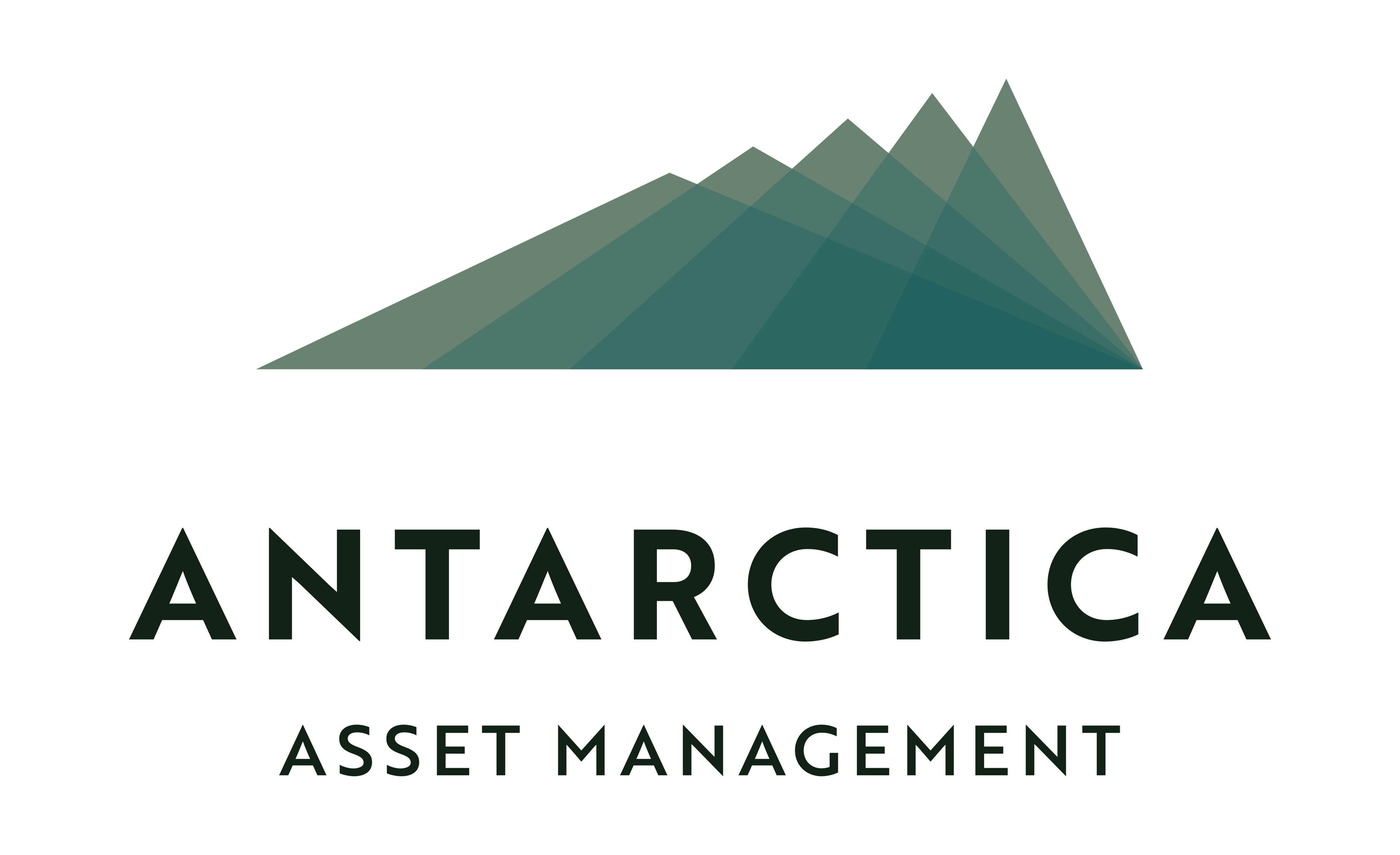 ANTARTICA Asset Management